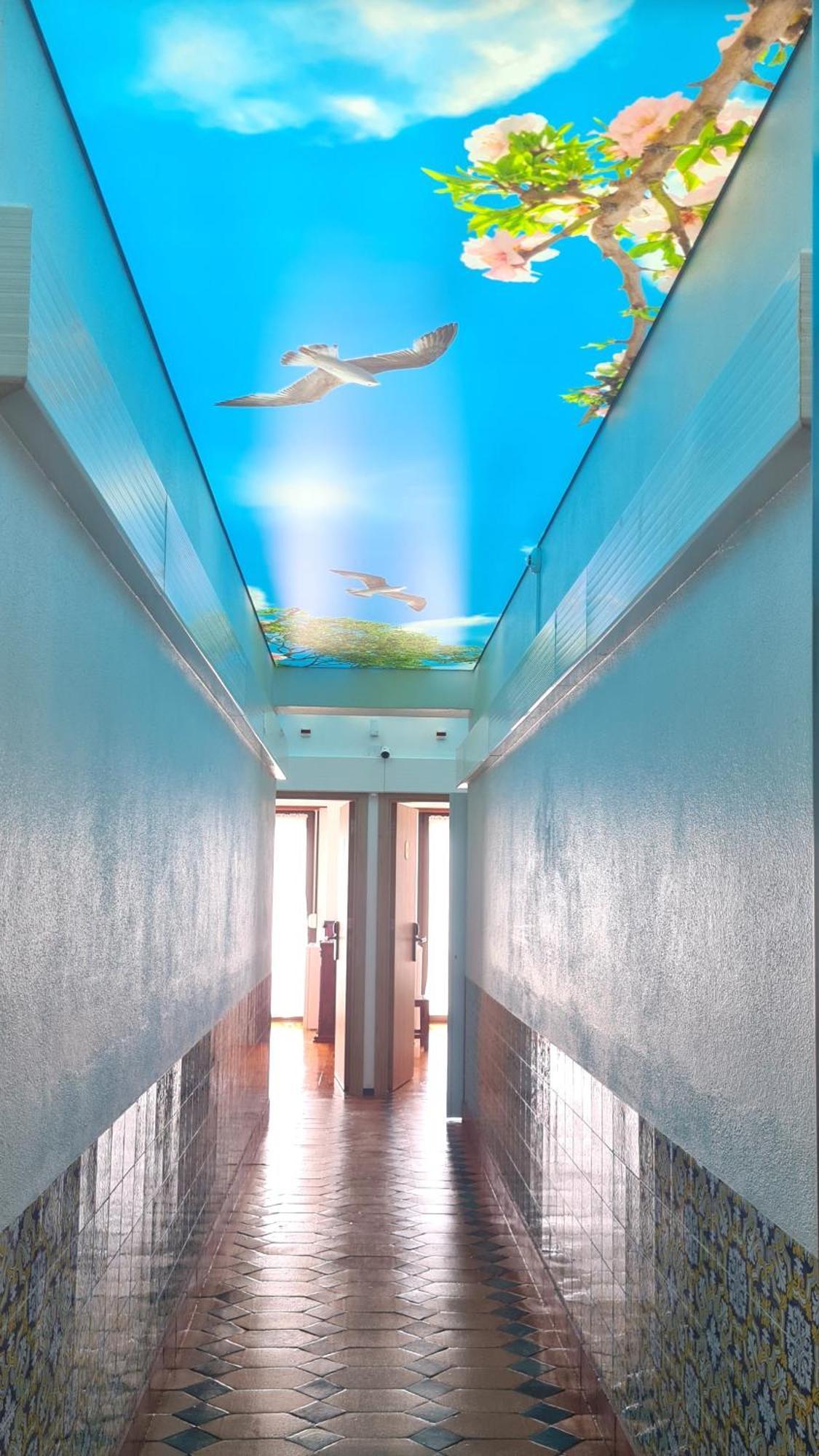 Solar Dos Carvalhos - Apartamentos De Turismo Ναζαρέ Εξωτερικό φωτογραφία